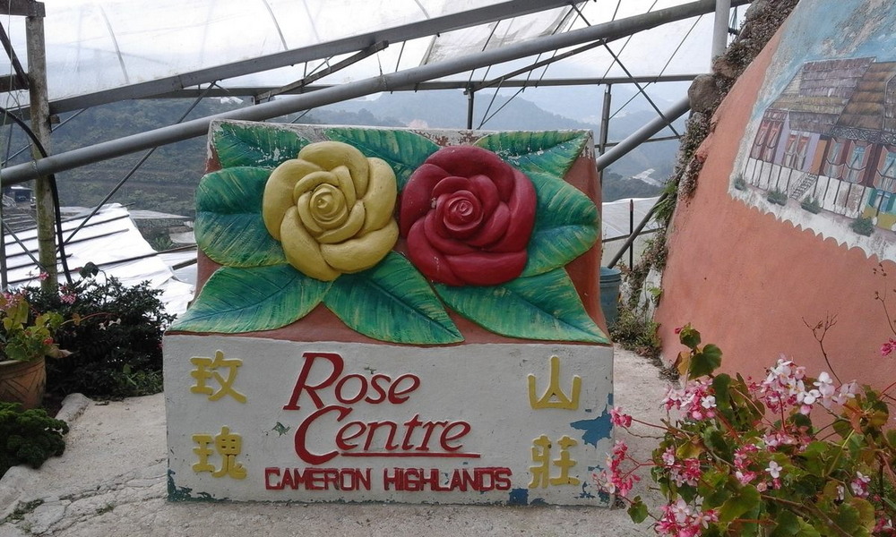 Центр Роз в Малайзии