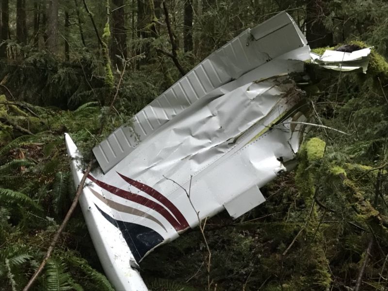 Пилоту рухнувшего самолета чудесным образом удалось выжить