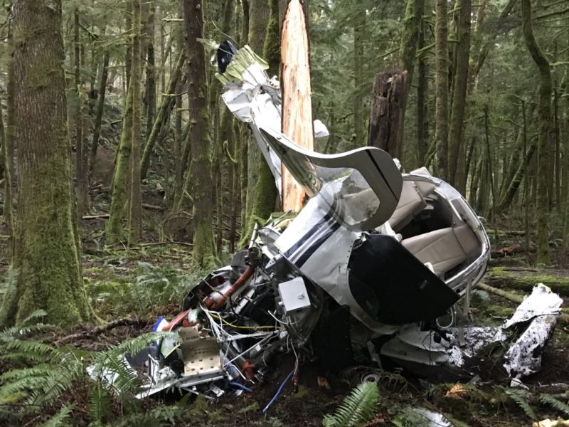 Пилоту рухнувшего самолета чудесным образом удалось выжить