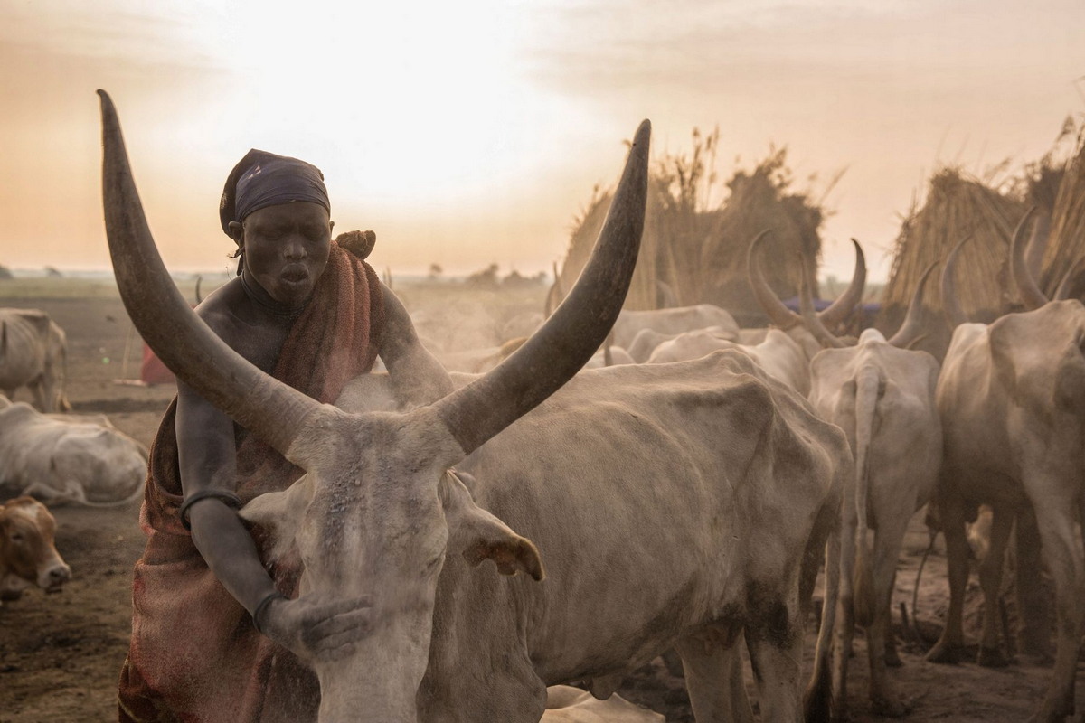 Жизнь племени Динка на равнинах Южного Судана