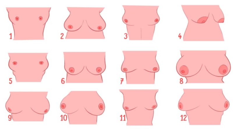 Как женский характер зависит от формы груди