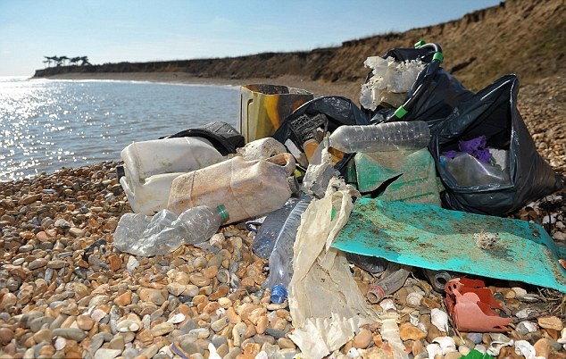 Британец каждую неделю собирает по три мешка мусора на пляже