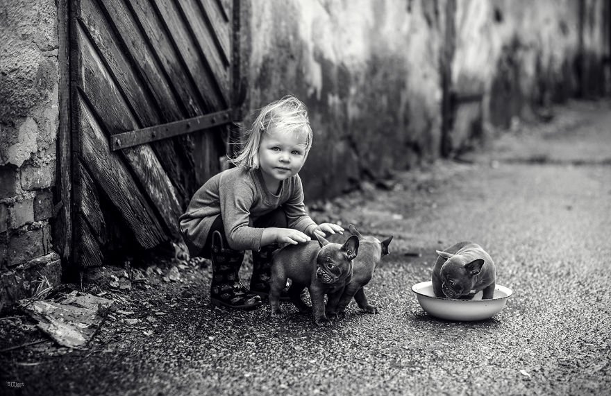 Дети и животные играют вместе