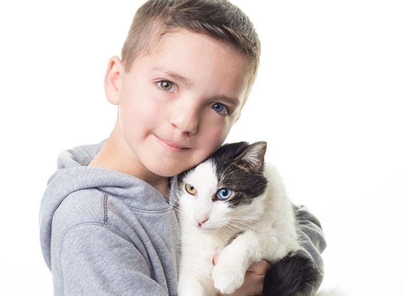 Мальчик с заячьей губой и разноцветными глазами нашел котенка-близнеца