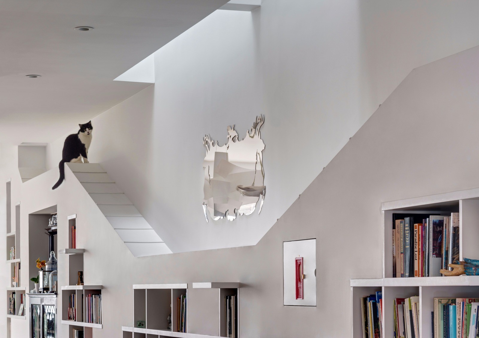 Дом для книг и кошек