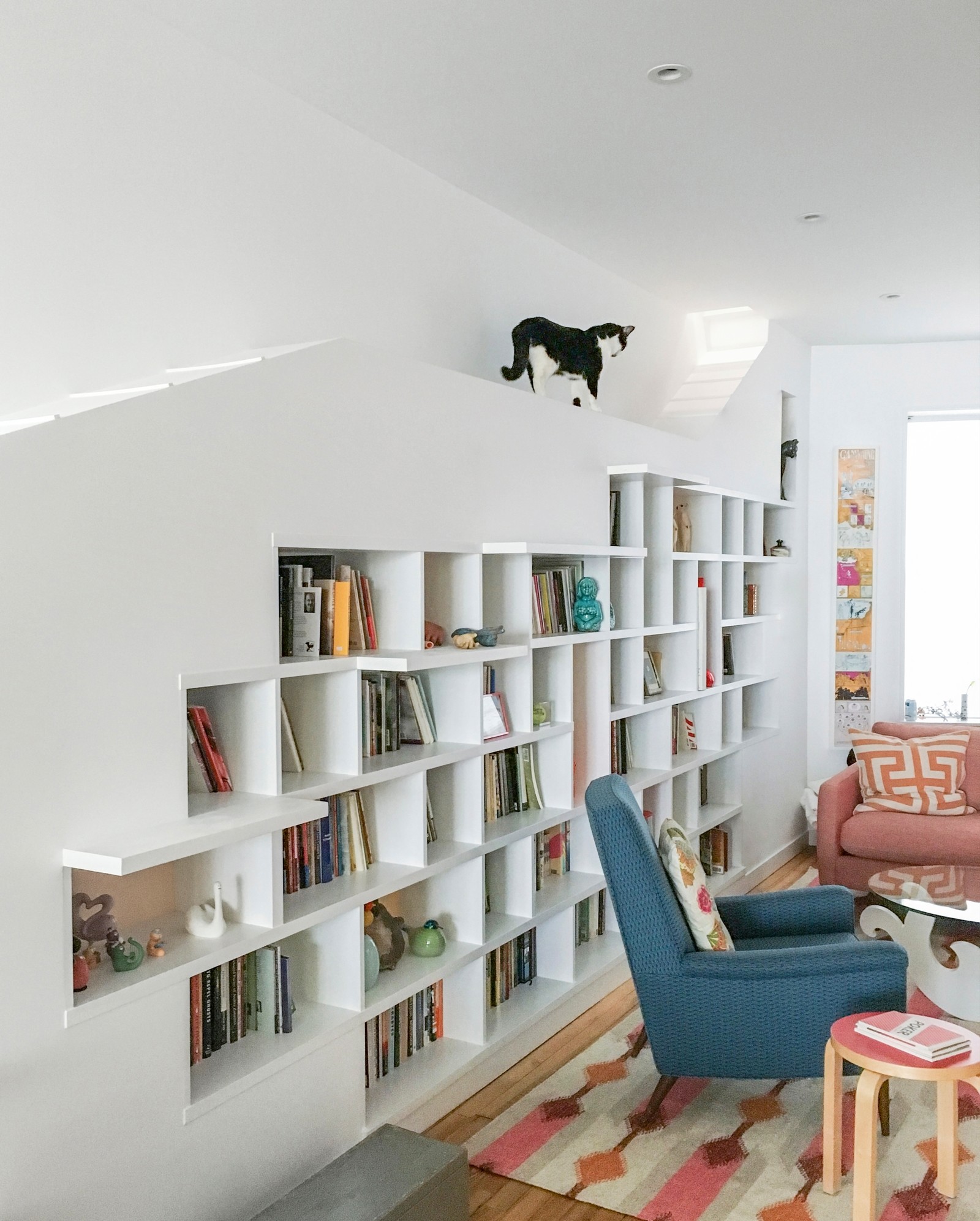 Дом для книг и кошек