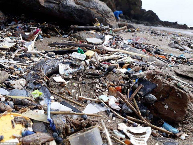 Топовый английский пляж для серферов утопает в мусоре