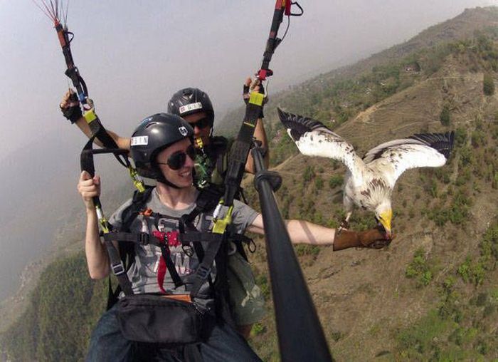 Забавные снимки с парашютистами