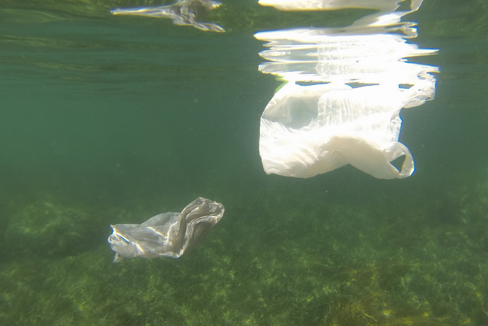 Пластмассовое загрязненные побережья Австралии