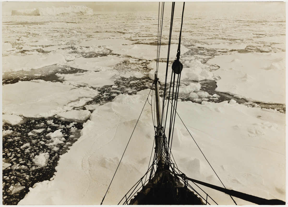 Первая Австралийская антарктическая экспедиция