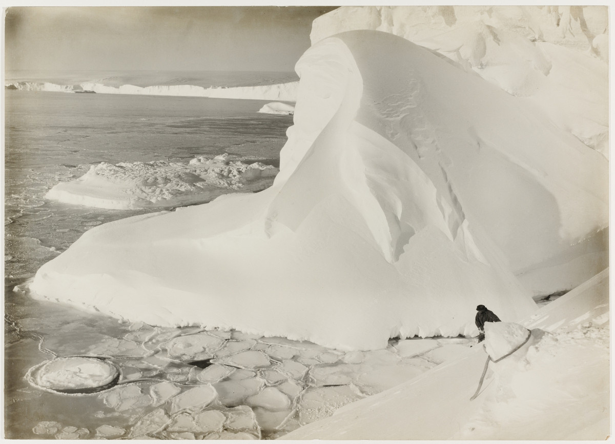 Первая Австралийская антарктическая экспедиция
