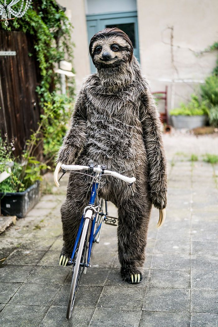Максимально реалистичный костюм ленивца