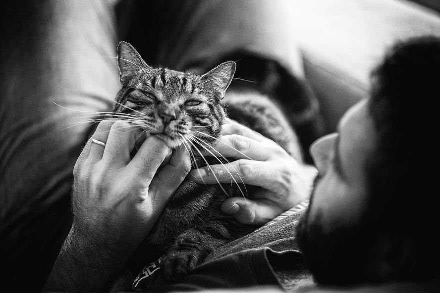 Милые мужчины и их коты от фотографа Сабрины Боем