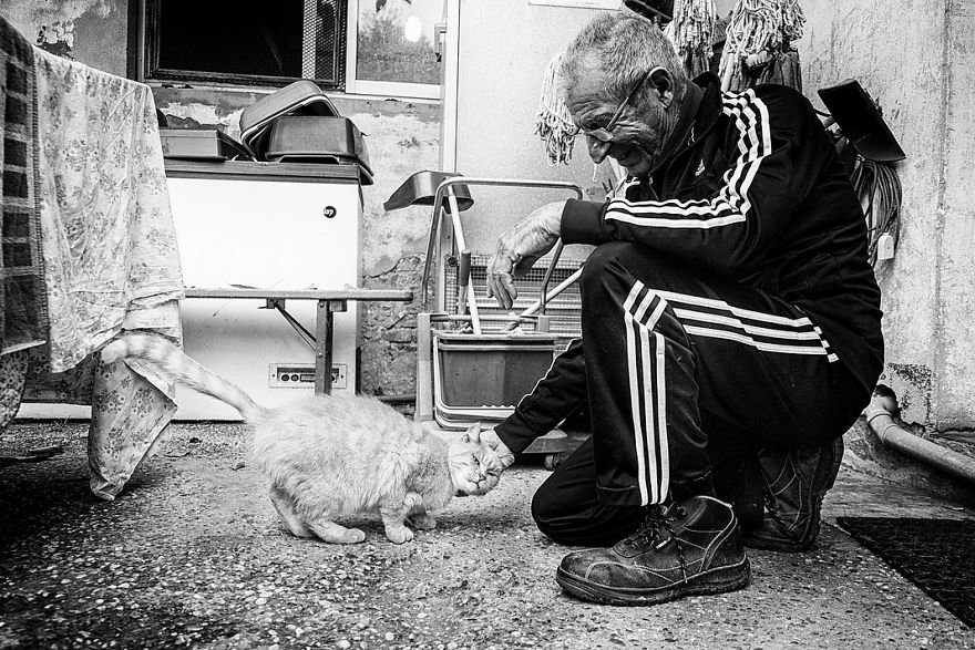 Милые мужчины и их коты от фотографа Сабрины Боем
