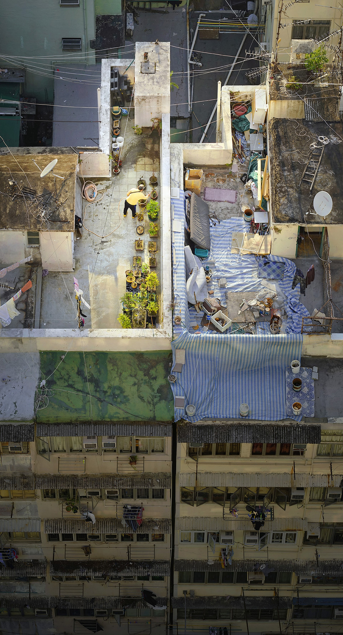 Бетонные истории: свой мир на крышах Гонконга