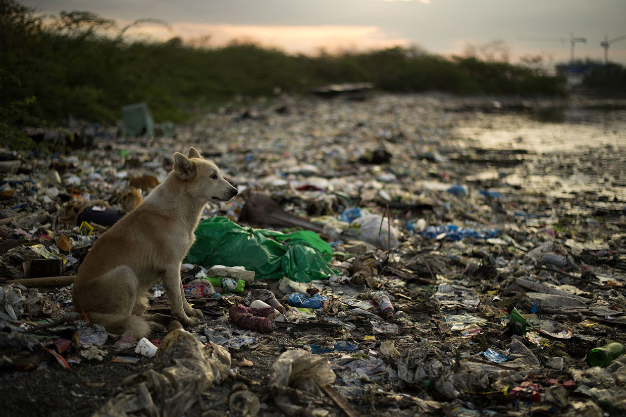 Это наш пластиковый мир