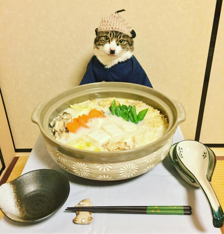 Японка каждый день наряжает своего кота к ужину