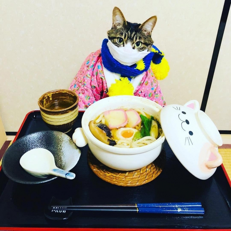 Японка каждый день наряжает своего кота к ужину
