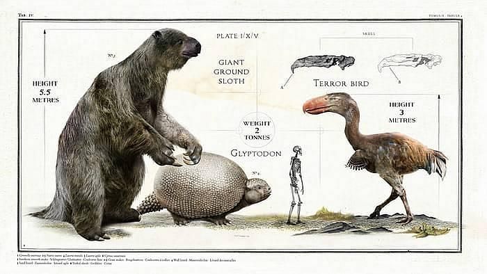 Древние животные-гиганты