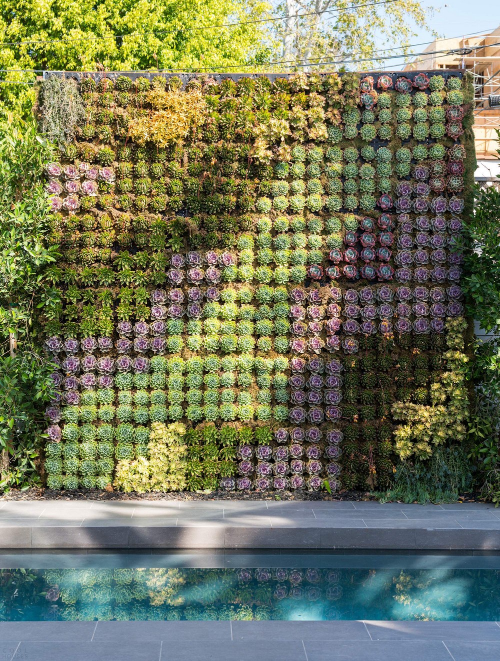 Семейная резиденция с садом на крыше в Лос-Анджелесе