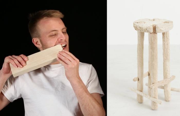 Человек-бобер сделал табуретку, используя зубы вместо инструментов