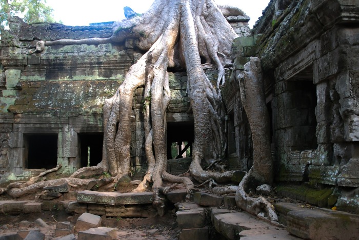 Заброшенный древний город Ангкор в джунглях