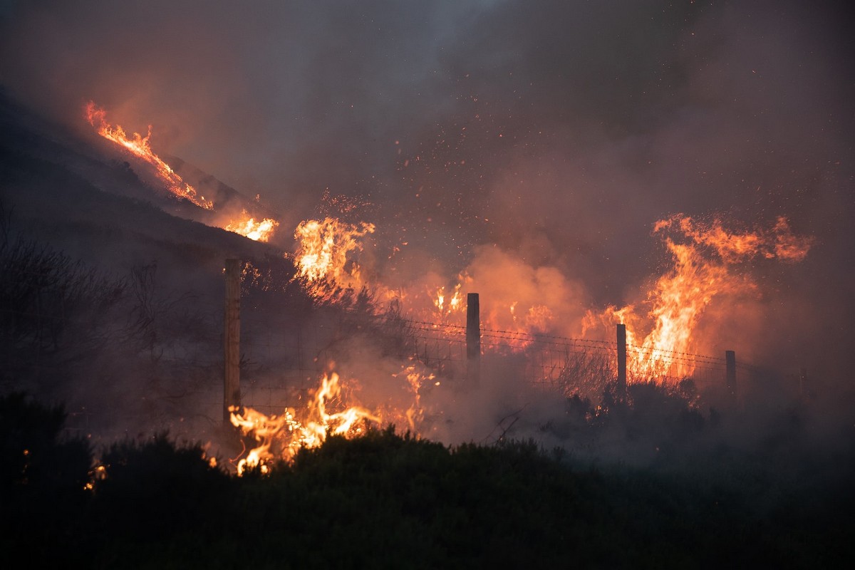 Крупные лесные пожары в Манчестере