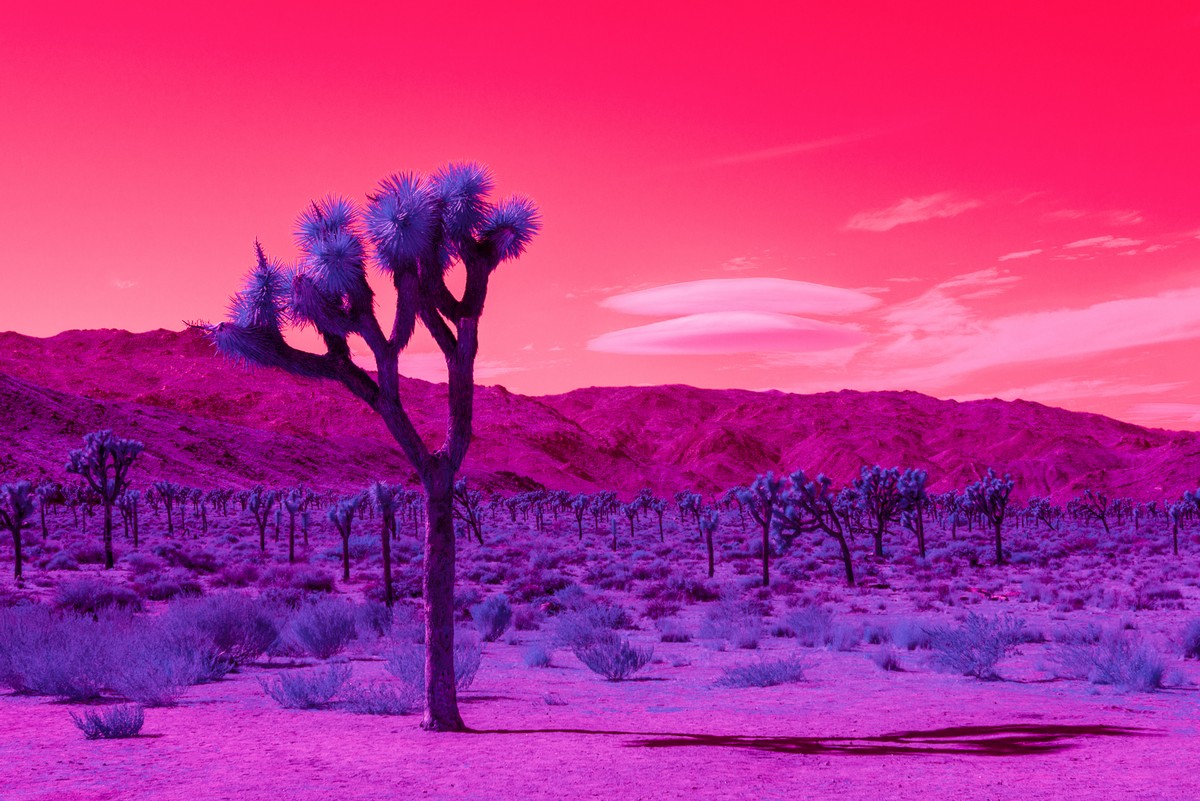 Пейзажи Калифорнии на инфракрасных фото Кейт Баллис