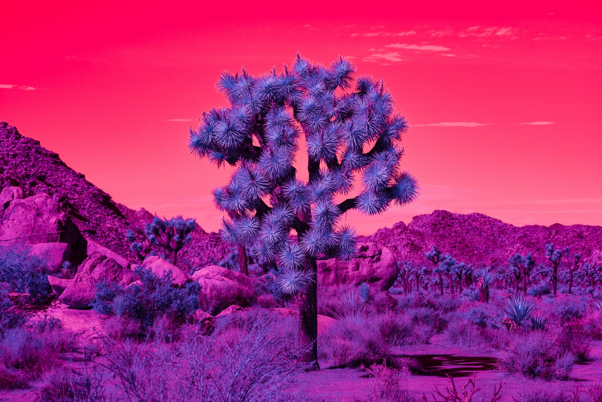 Пейзажи Калифорнии на инфракрасных фото Кейт Баллис