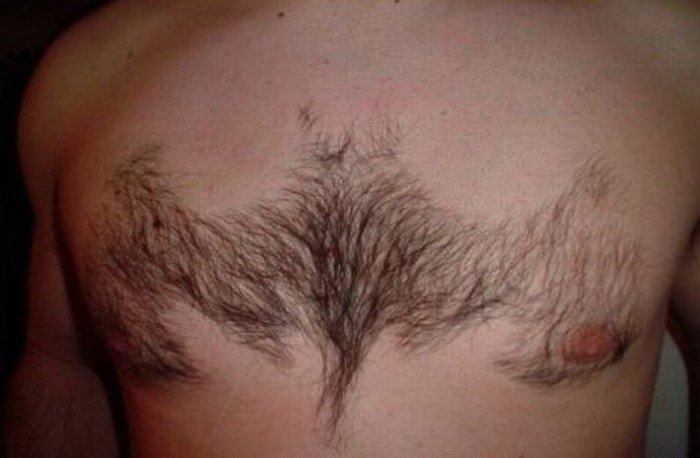 Как называется дорожка из волос на животе у мужчин