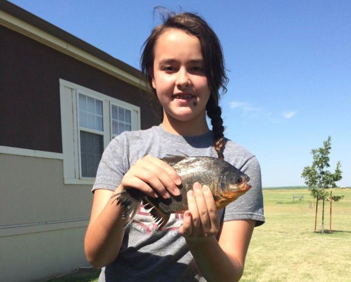 Девочка поймала рыбу с человекоподобными зубами