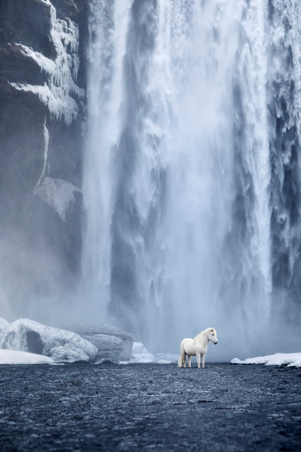 Лошади на фоне эпических исландских пейзажей