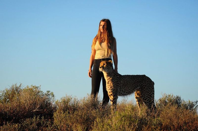 Девушка согласилась жить в африканской саванне среди гепардов