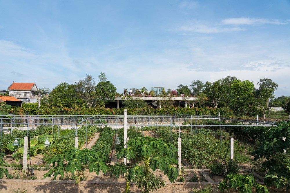 Дом с парком на крыше во Вьетнаме