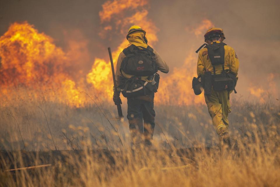 Страшные последствия лесных пожаров в Калифорнии