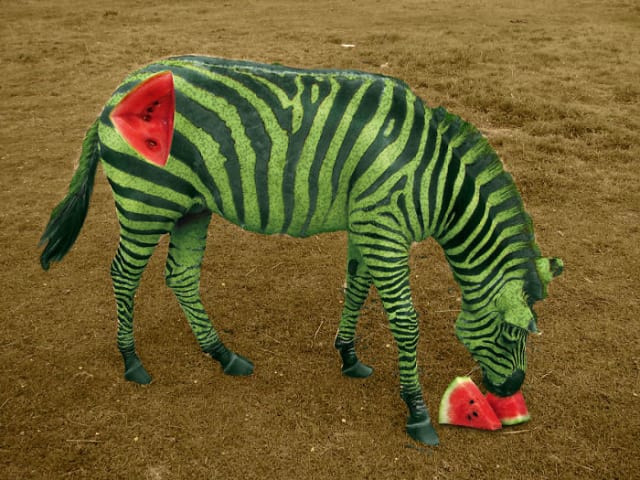 Художники создали необычных гибридов животных и растений с помощью Photoshop