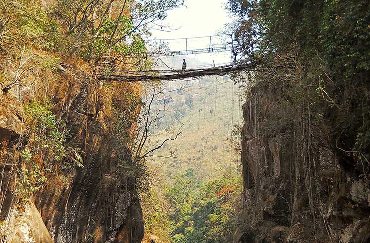Живые мосты в индийском городке Черапунджи