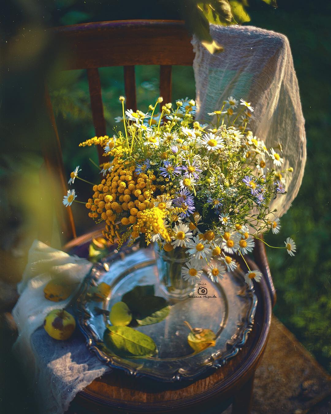 Красивые фотографии цветов от Татьяны Мироновой