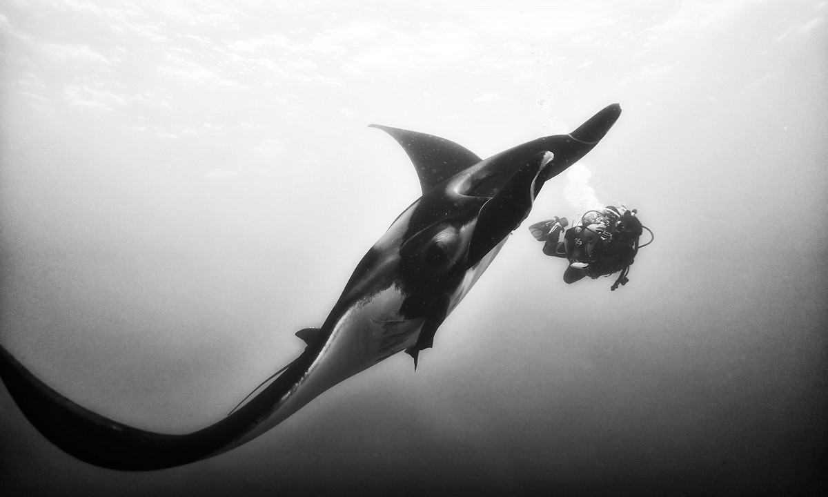 Подводное царство на снимках Ануара Пэтджэйна
