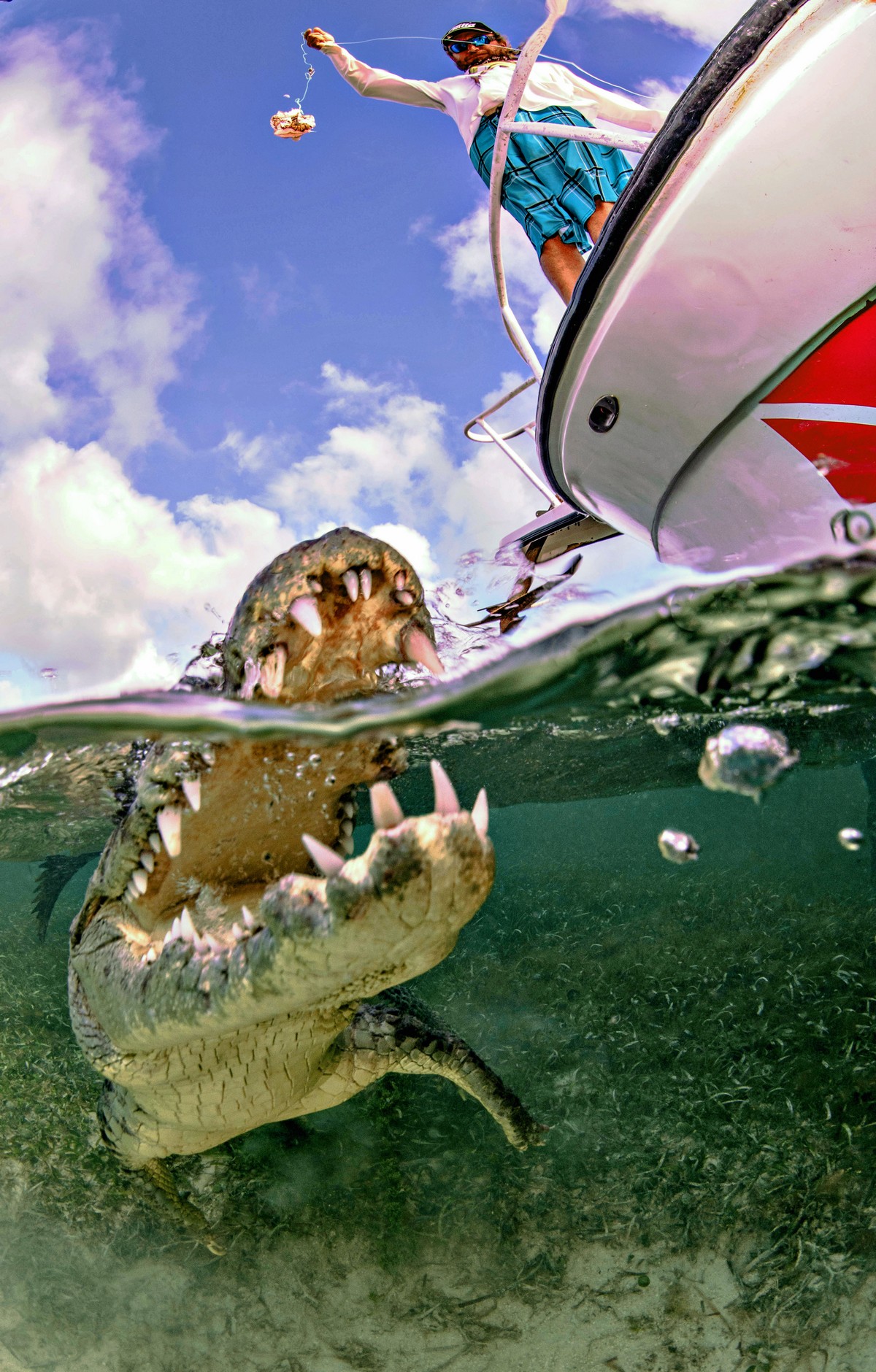 Фотосессия с крокодилами в их естественной среде обитания