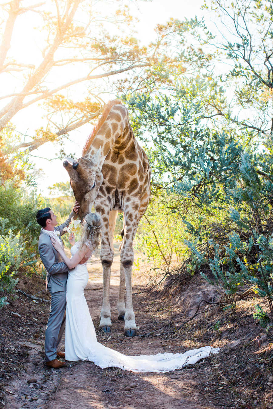 Любопытный жираф на свадьбе