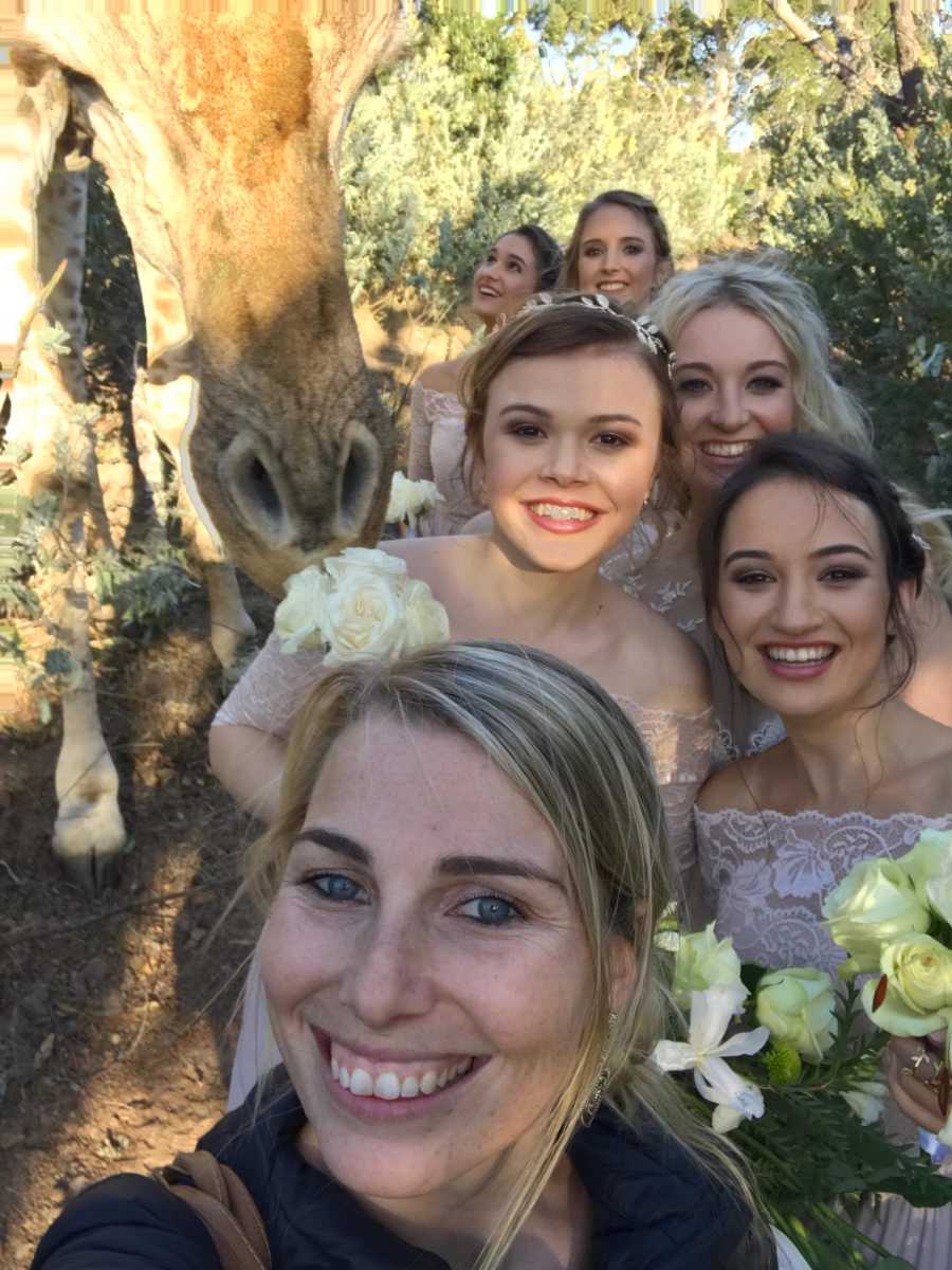 Любопытный жираф на свадьбе