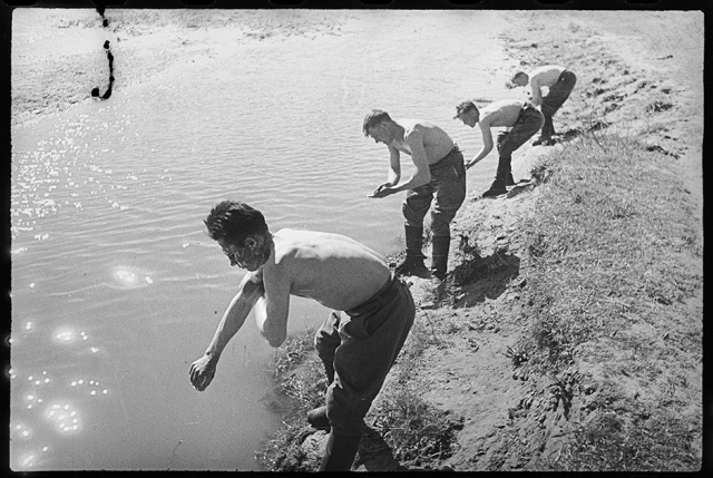 Архивные снимки Второй мировой войны советского фотокорреспондента