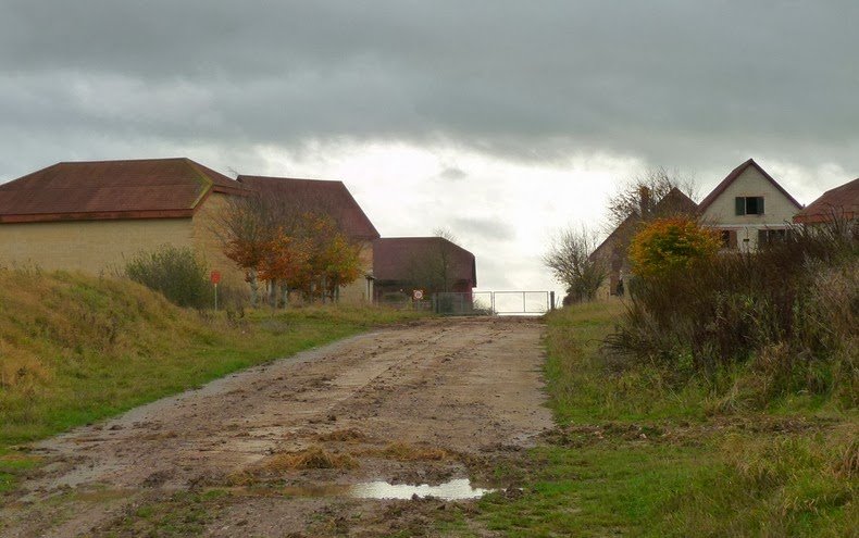 Деревня-муляж на юге Англии