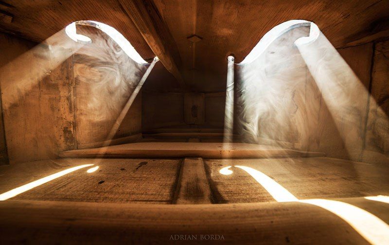 Удивительные фото, сделанные внутри виолончели