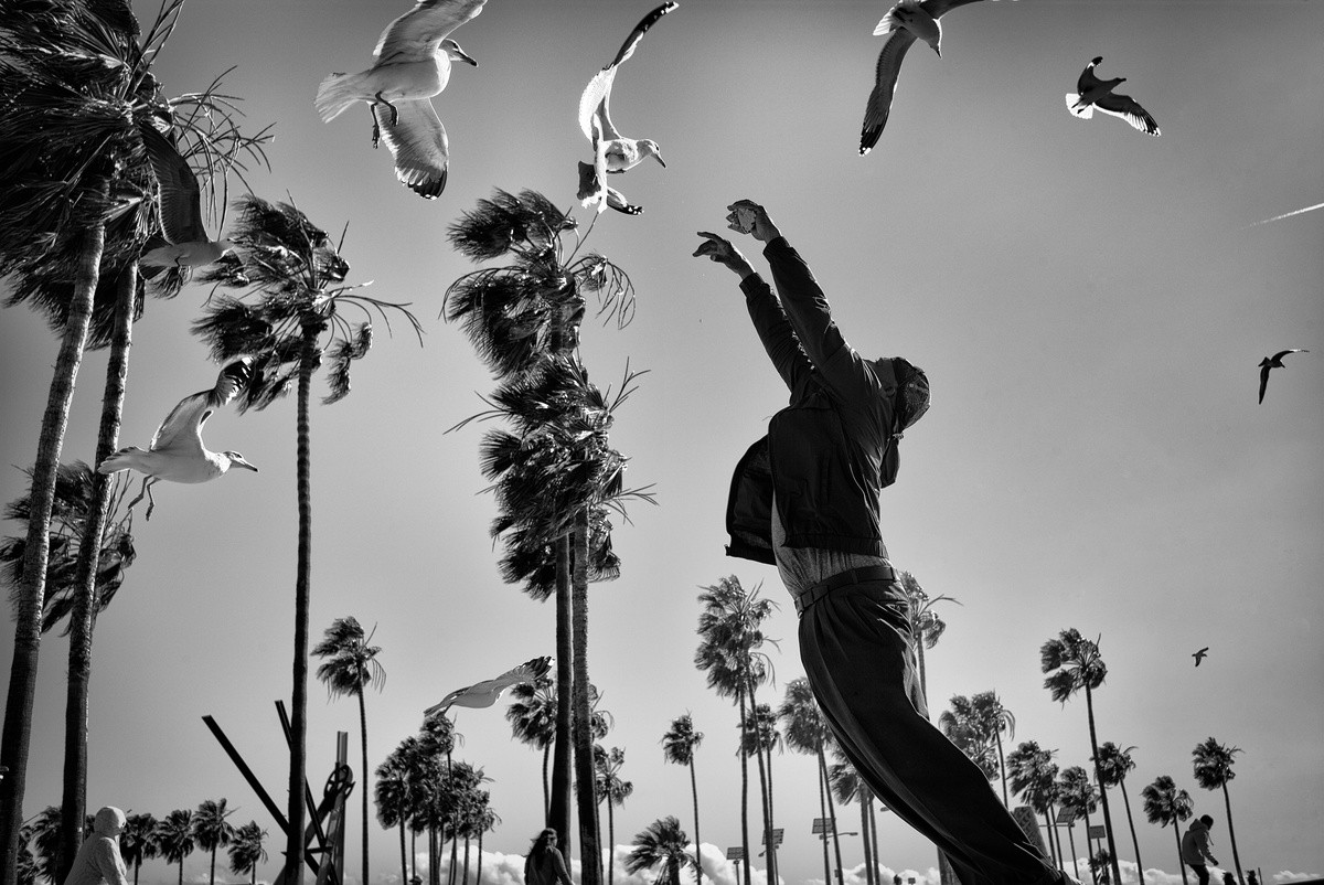 Лос-анджелесская Венеция в фотопроекте Дотана Сагая