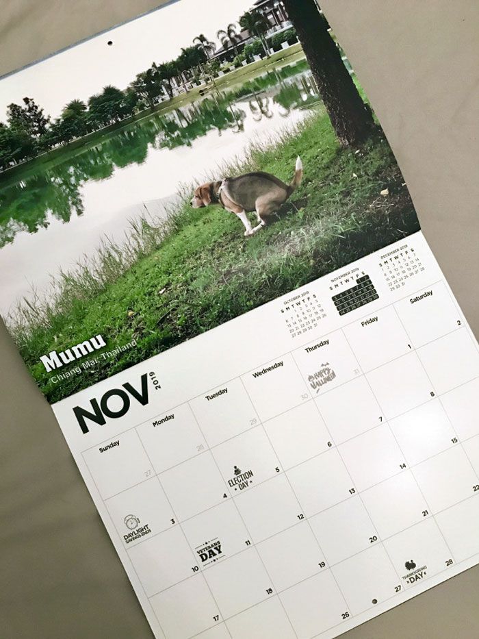 Календарь с гадящими собаками на 2019 год