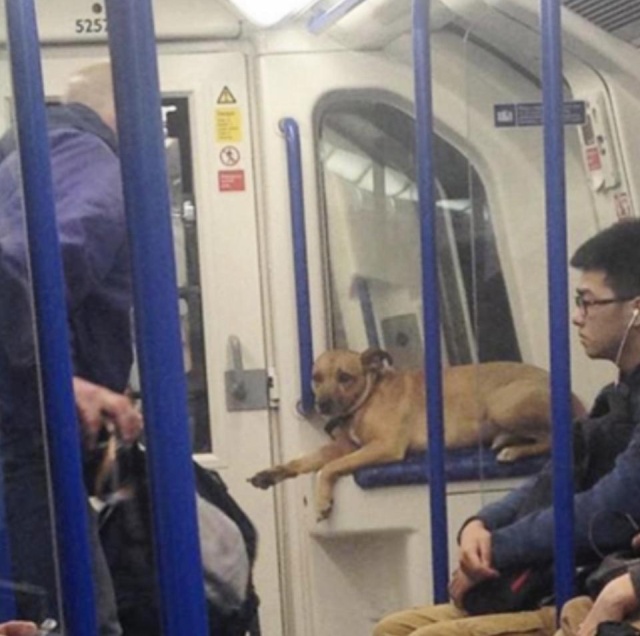 Странности в лондонском метро