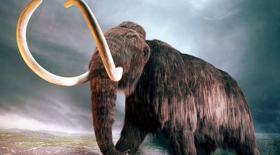 Доисторические животные, которых ученые могут воскресить