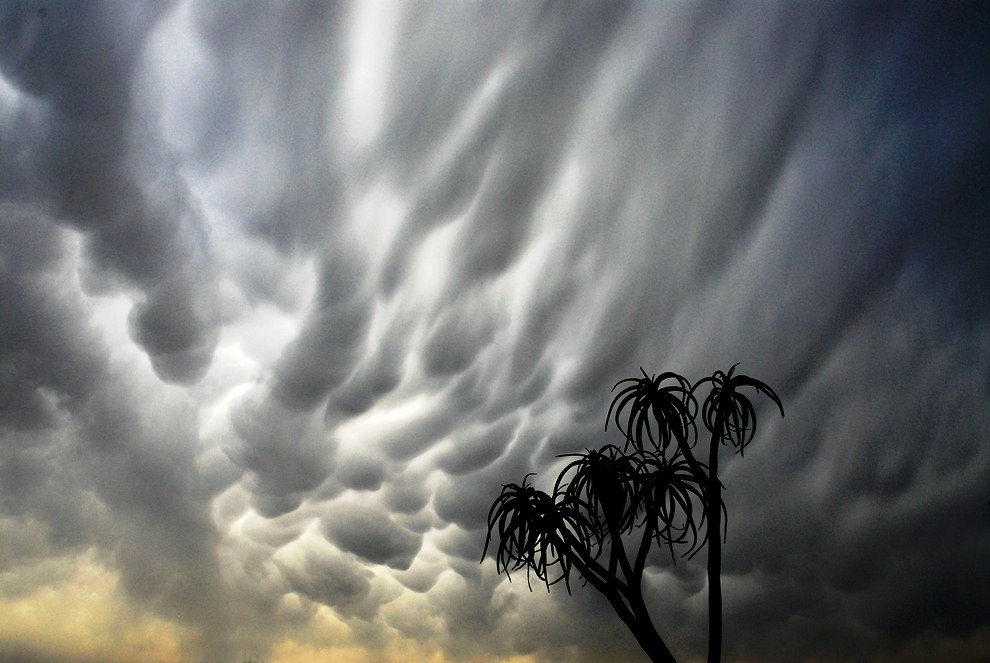Поразительные вымяобразные облака Mammatus